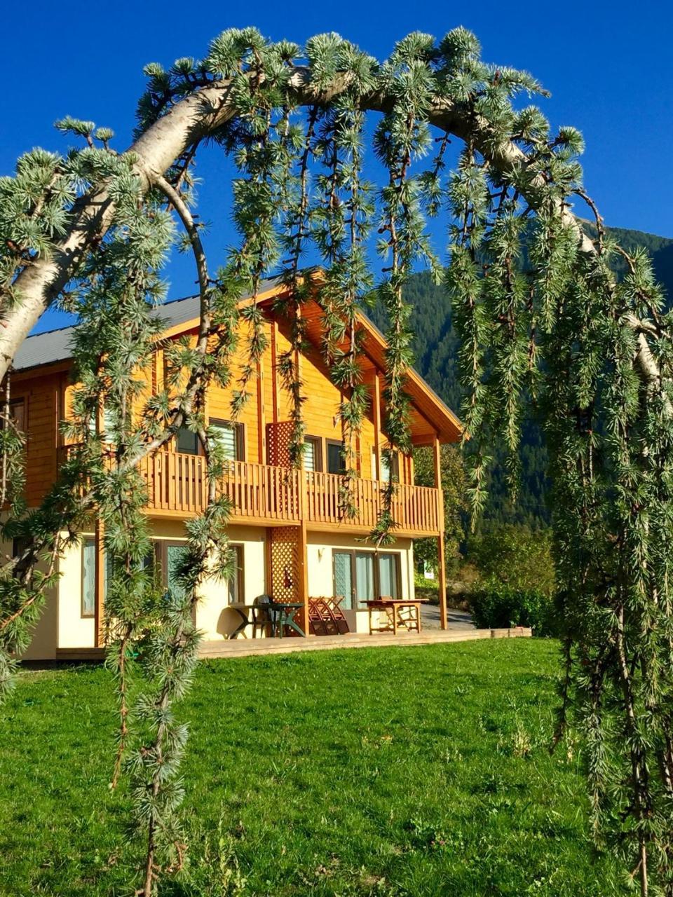 Les Chalets Fleurs de France - KOTA Saint-Dalmas Extérieur photo