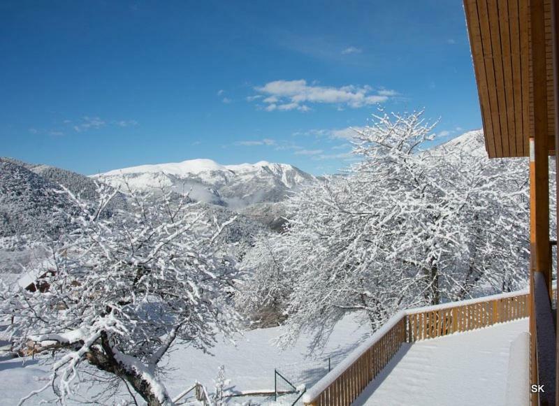 Les Chalets Fleurs de France - KOTA Saint-Dalmas Extérieur photo